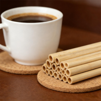 Pailles à café en bambou jetables de haute qualité, lisses, biodégradables, pailles à eau en bambou pour la maison, le restaurant
