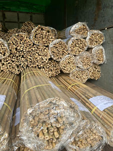Estacas de Bambú Secas de Primera Calidad, Soporte Agrícola para Plantas, Cañas Naturales para Jardín, para Viñedos y Cultivo de Tomates, Venta al Por Mayor - Product Image 4
