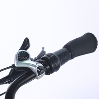 Moto tout-terrain pliable puissante 1000W, tricycle électrique à deux places avec moteur central