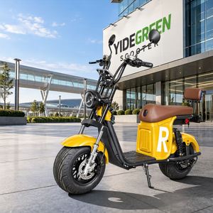 Scooter électrique Citycoco X13 1000W, entrepôt d'outre-mer au Brésil, batterie au lithium 60V20Ah, livraison porte à porte - Product Image 1