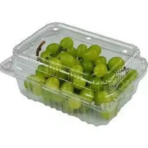 Çevre dostu yeniden temizle gıda ambalaj meyve sebze plastik saklama kutuları kapaklı özel kabul