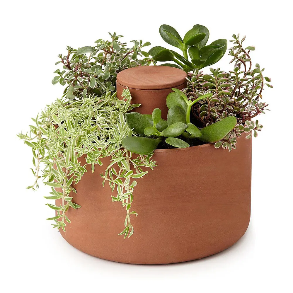 2021 New Design Hot Sell Terracotta Self Watering Herb Pot Clay Succulent Planter