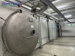 Liofilizador Industrial de Fresas al Vacío, Deshidratador de Alimentos para Frutas Secas - Product Image 5