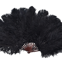 Éventail en plumes d'autruche teintées de grande taille pour femmes, idéal pour costumes, spectacles, théières, fêtes, mariages, danse, accessoires de photographie et décorations.