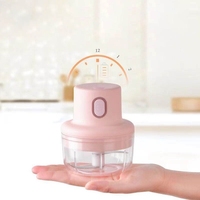 KY USB Elektrische Knoflookpers 250ML Groentehakker Fruit- en Vleesblender Mini Keukenvoedselverwerker Milieuvriendelijk
