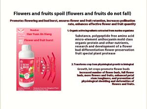 <span class=keywords><strong>ปุ๋ย</strong></span>อินทรีย์สำหรับดอกไม้และผลไม้โปรโมชั่นหน่อและการป้องกัน - Product Image 4