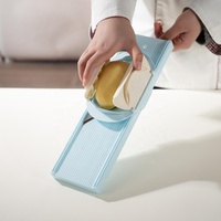 Robuuste handmatige mandoline groentesnijder 2-in-1 julienne-snijder met plastic veiligheidsbescherming voor aardappel, wortel, kool