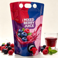 Pochettes souples personnalisées en aluminium de 1L et 3L avec bec verseur et bouchon à vis pour jus, boissons et emballages liquides – Vente en gros