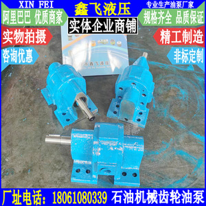 Gear Oil Pump Series 21 Cast <b>Iron</b> Hydraulic for Lubrication Oil Transfer Machinery - Product Image 3