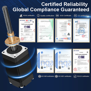 RB nema8 động cơ DC động cơ bước Thiết bị truyền động tuyến tính DC động cơ <span class=keywords><strong>servo</strong></span> Kit với hộp số mô-men xoắn cao cho thiết bị tự động - Product Image 6