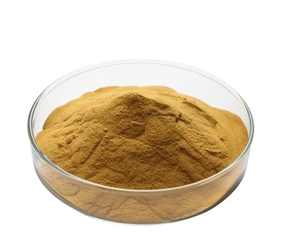 Polvo de Extracto Seco de Semilla de Karanj (Pongamia Glabra), Polvo Botánico Natural para Alimentos, Bebidas, Cosméticos e Ingredientes para el Cuidado Personal - Product Image 1