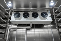 Chambre froide industrielle pour un refroidissement rapide et la transformation des aliments surgelés