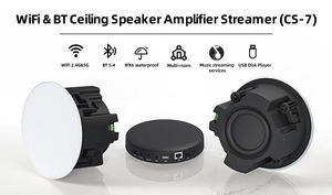 อุปกรณ์ขยายสัญญาณ WiFi BT LAN USB AUX Power Amplifier IPX6กันน้ำได้ลำโพงติดเพดานเล่น<span class=keywords><strong>เพลง</strong></span>ได้หลายห้องสำหรับใช้<span class=keywords><strong>ใน</strong></span>บ้าน - Product Image 3