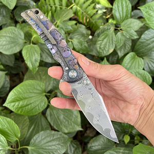 Nouveau modèle RW34+VG10 - <span class=keywords><strong>Couteau</strong></span> EDC de camping et de pêche en acier Damas avec motif crâne coloré et manche en alliage de titane - Product Image 3