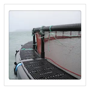 HDPE circular double floating tube lifting deep water cage