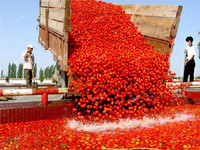 Fabriek Prijs Tomaat Pulp Productie Plant Ketchup Verwerking Lijn Industriële Tomatensaus Machine