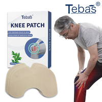 Patch de soulagement de la douleur par compresse froide et chaude, patch de gel à base de plantes pour le genou, le dos, le cou, les muscles et les articulations, soin rafraîchissant et chauffant