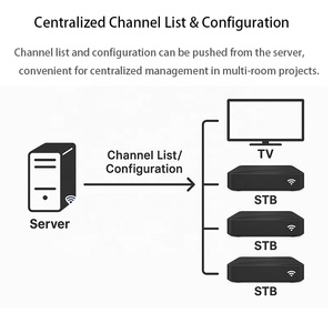 Linux IP TV STB | UDP Multicast (IGMPv2) | HLS M3U8 | H.265/HEVC 1080p | for ISP / Hotel Projects - Product Image 3