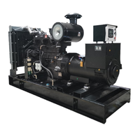 Groupe électrogène diesel robuste 315 kVA 252 kW 3 PH 400 V 50 Hz, silencieux, pour usage industriel, minier et de construction