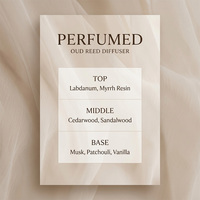 Diffuseur à bâtonnets en gros 100 ml, désodorisant d'ambiance, diffuseur d'huiles essentielles sans flamme, ensemble diffuseur à bâtonnets longue durée