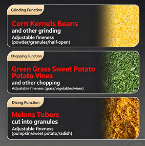 Hacheuse <span class=keywords><strong>de</strong></span> légumes à entraînement par courroie, puissance accrue, avec seau anti-blocage <span class=keywords><strong>en</strong></span> acier inoxydable, pour usage domestique, agricole et préparation d'aliments pour volailles - Product Image 4