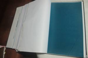 Busta rossa panno <span class=keywords><strong>da</strong></span> parete in velluto di fascia alta per arredamento di colore rosso tessuto <span class=keywords><strong>carta</strong></span> <span class=keywords><strong>da</strong></span> <span class=keywords><strong>parati</strong></span> tessuto canapa murale <span class=keywords><strong>carta</strong></span> <span class=keywords><strong>da</strong></span> <span class=keywords><strong>parati</strong></span> per pareti - Product Image 6