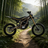 Meilleur Prix 2026 74V 24.5kW 95km/h Desert Mountain Racing Chargeur Rapide 2026 Ultra Bee