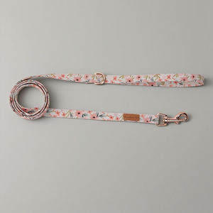 Collar de correa de perro de algodón con estampado moderno de lujo de 1,5 m, moda duradera, encantador Simple estilo occidental, venta al por mayor, luces personalizadas OEM ODM - Product Image 1