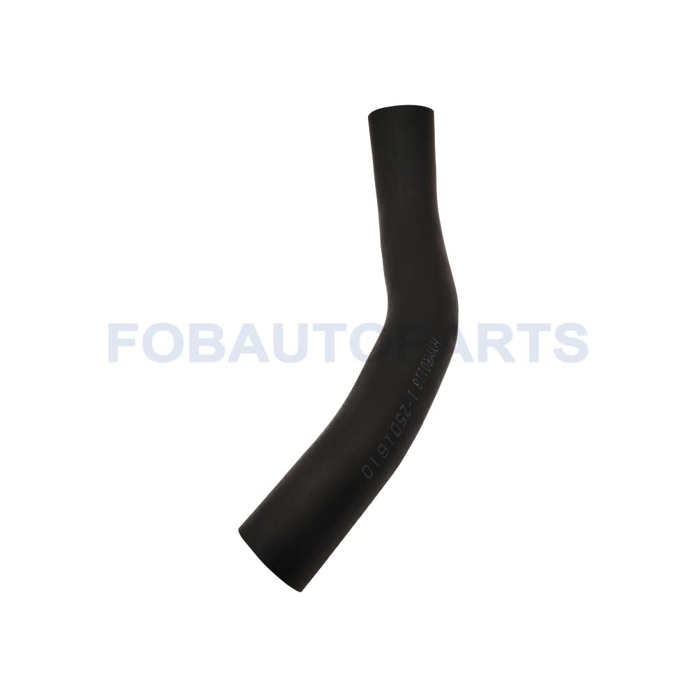 Auto Parts Brand New High Quality Radiator Hose for Hyundai / KIA 25411-1R200