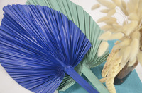 Ventes en gros de vraies feuilles de palmier bleues naturelles, stabilisées, préservées, feuillage en forme de flèche, plantes stabilisées, feuilles de palmier séchées