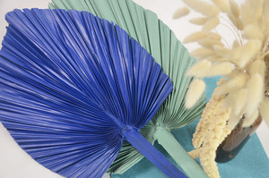 ใบปาล์มแห้งธรรมชาติแท้ ขายส่ง ใบปาล์มสีน้ำเงิน ใบปาล์มรักษาสภาพ ใบปาล์มแห้ง - Product Image 3