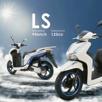 Scooter à essence 125cc refroidi par air, moteur 4 temps, injection de carburant, moto pour la route, vitesse maximale de 95 km/h, cyclomoteur 14 pouces