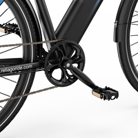 Vélo électrique Reliago C29 Lite certifié CE avec porte-bagages arrière, phare intégré, feu arrière de freinage, batterie au lithium, moteur sans balais 250W