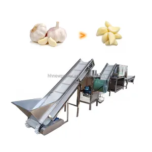 Industrial Garlic Sorting Onion Ginger Paste Production Line Dried Turmeric Powder Processing Line For Sale