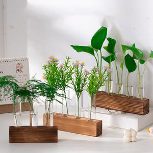 Design classico vetro terrario <span class=keywords><strong>fioriera</strong></span> con coperchio in sughero appeso pavimento acqua stazione per la propagazione delle piante in stile classico vasi da giardino - Product Image 1