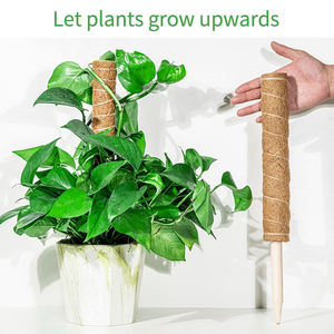 Plante Mousse Coir Pôle Pliable <span class=keywords><strong>Plantes</strong></span> Escalade <span class=keywords><strong>Support</strong></span> Extension Palmier Vignes Bâton Intérieur Balcon Jardin Cour Fleur Décor - Product Image 5