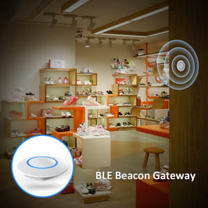 Passerelle Ethernet Wi-Fi et Bluetooth Beacon adaptée - Product Image 6