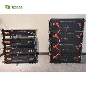 Batería de Iones de Litio <span class=keywords><strong>Dyness</strong></span> de la Mejor Calidad, <span class=keywords><strong>B4850</strong></span>, 48 V, 50 Ah, 2.4 kWh, Lifepo4 - Product Image 5
