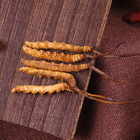 Cordyceps Sinensis y Cordyceps Militaris Enteros, Frescos, Liofilizados, al por Mayor