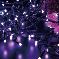 Nouvelle décoration de Noël Noël Led Light Outdoor Holiday Party Led Lights Christmas Light