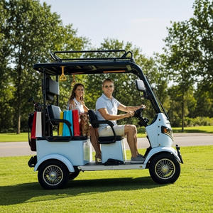 Quadricycle électrique Holladay 1000w, <span class=keywords><strong>4</strong></span> places, vélo électrique de tourisme, scooter à <span class=keywords><strong>4</strong></span> roues avec toit et rideaux de pluie - Product Image 3