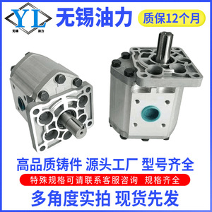 Pompe à huile hydraulique CBNCBT-FEG520525532540550F63 Haute efficacité Haute pression avec engrenages à cannelures et à rainures - Product Image 3