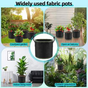 Sacs de plantation en tissu non tissé noir pour café et <span class=keywords><strong>vert</strong></span>, personnalisés, 1, 3, 5, 7, 10, 15, 20 gallons, tissu en feutre épaissi, sacs de culture - Product Image 4