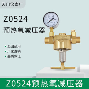 ตัวปรับแรงดันออกซิเจนเซี่ยงไฮ้ เทียนชวน รุ่น Z0524 ER25 HG วาล์วปรับแรงดันแก๊สแบบขั้นตอนเดียว ทำจากทองเหลือง - Product Image 2