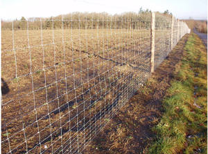 Malla de cerco/ovejas/granja/campo/valla de malla de alambre de ciervo valla de pradera galvanizada - Product Image 5