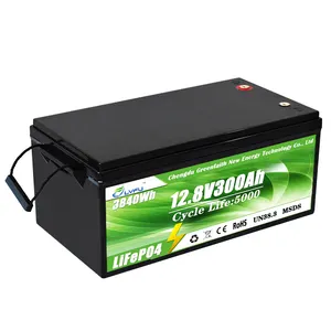 12V Lithium-Ijzerfosfaat Batterij Ingebouwde Bms Zonnebatterijen 12V 100ah 200ah 300ah Lifepo4-batterij