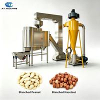 Équipement de Blanchiment d'Arachides Grande Capacité, Contrôlé par PLC, en Acier Inoxydable 304, Éplucheur Pneumatique de Peau Rouge de Pistache, Alimentation et Décharge Automatiques