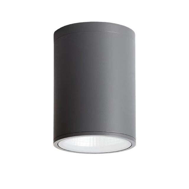 NIN Lighting IP65 Series Cylinder Shaped 30W Downlight Exterior Led Downlight Surface Mounted
