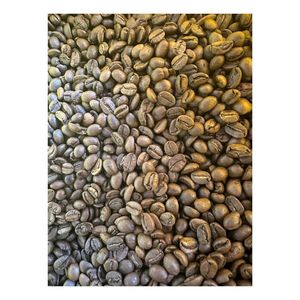 เมล็ดกาแฟโรบัสต้าออร์แกนิกจากเวียดนาม คาเฟอีนสูง รสเข้มข้น คั่วอ่อน บรรจุภัณฑ์แบบ OEM จำนวนมาก ผู้ผลิตจัดจำหน่าย เกรด A+ - Product Image 3