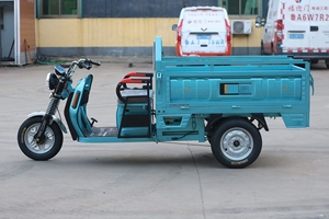 Triciclo Eléctrico Ecológico Serie Luba para Transporte Urbano, Agricultura y Fábricas - Product Image 4